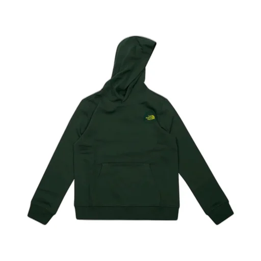 The North Face Kids Relaxed Graphic Hoodie