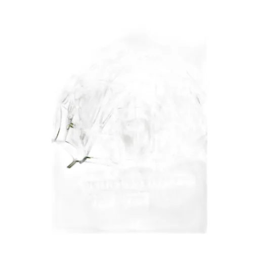 The North Face Kids Relaxed Graphic T-Shirt
