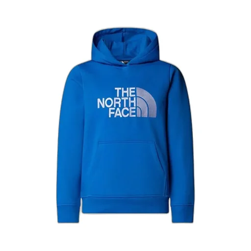 The North Face Kids Logo Hoodie Sweaters