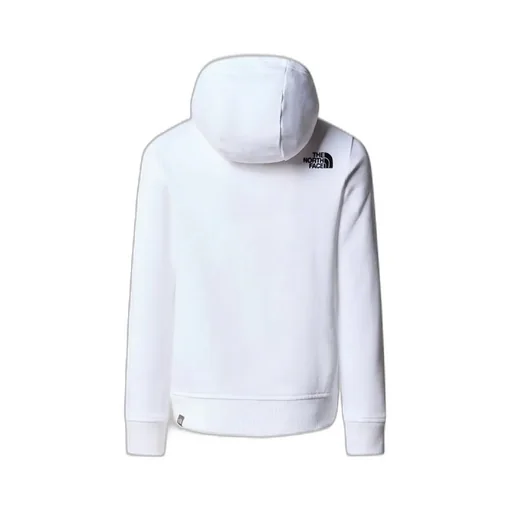 The North Face Kids Drew Peak Hoodie