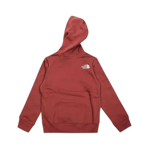 The North Face Kids Drew Peak Pullover Hoodie