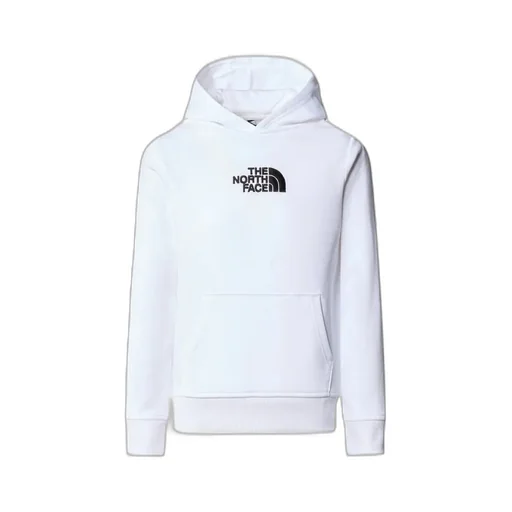 The North Face Kids Drew Peak Hoodie