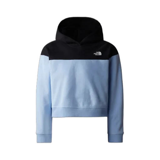 The North Face Kids Logo Printed Hoodie