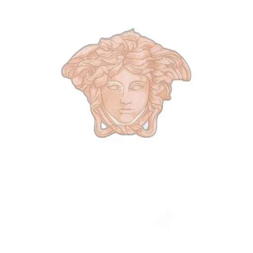 Versace Kids The Distinctive Head Of Medusa Crewneck T-Shirt