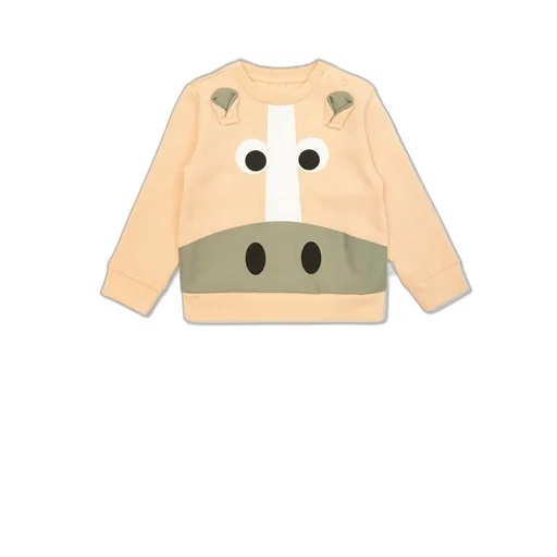 Stella Mccartney Kids Graphic Printed Sweatshirt