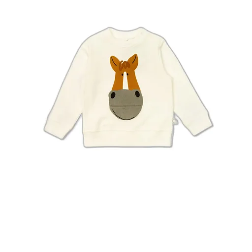 Stella Mccartney Kids Graphic Printed Crewneck Sweatshirt