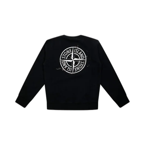 Stone Island Junior Compass Printed Crewneck Sweatshirt