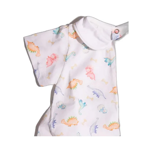 Siola Dinosaurs Printed Romper