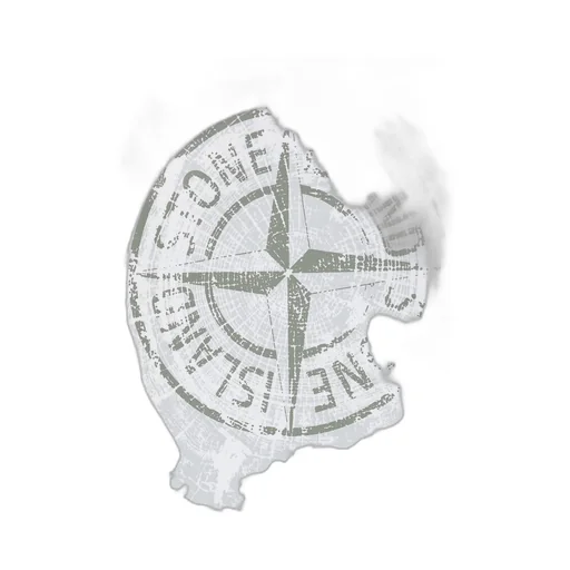 Stone Island Junior Logo-Printed Hoodie
