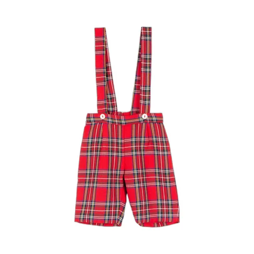 Siola Checked Elasticated Waistband Bermuda Shorts