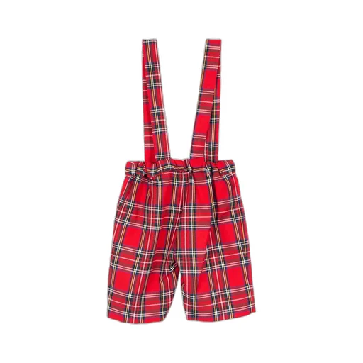 Siola Checked Elasticated Waistband Bermuda Shorts