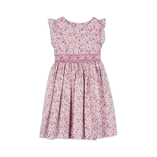 Siola Floral-Printed Crewneck Dress