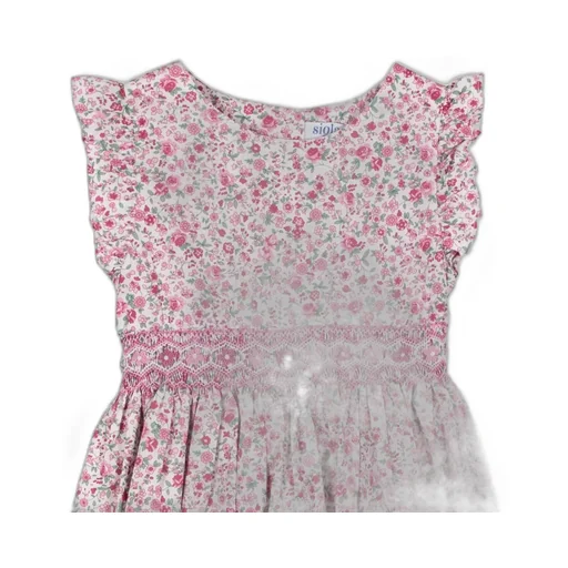 Siola Floral-Printed Crewneck Dress