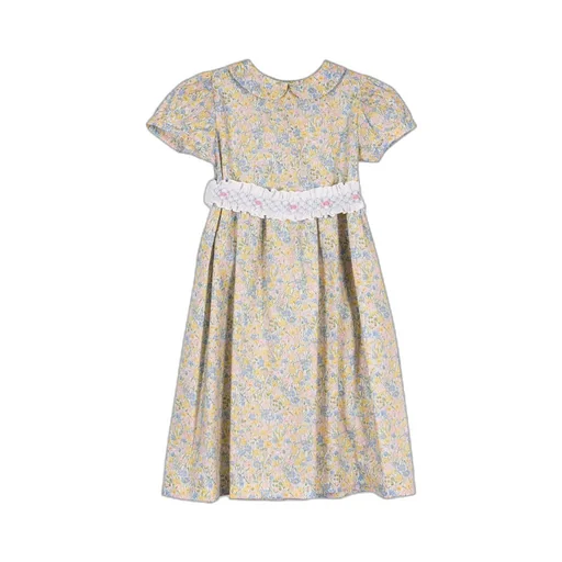 Siola Embroidered Puff-Sleeved Dress
