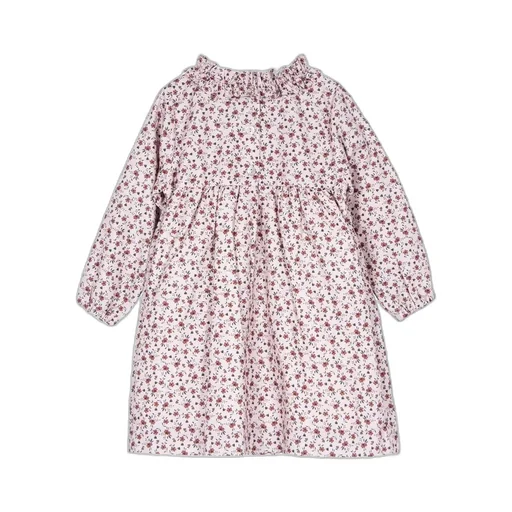 Siola Embroidered Ruffled Dress