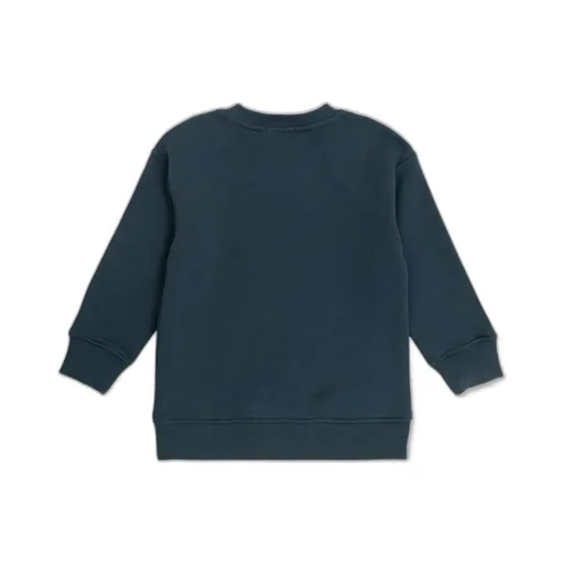 Stella Mccartney Kids Graphic Printed Crewneck Sweatshirt