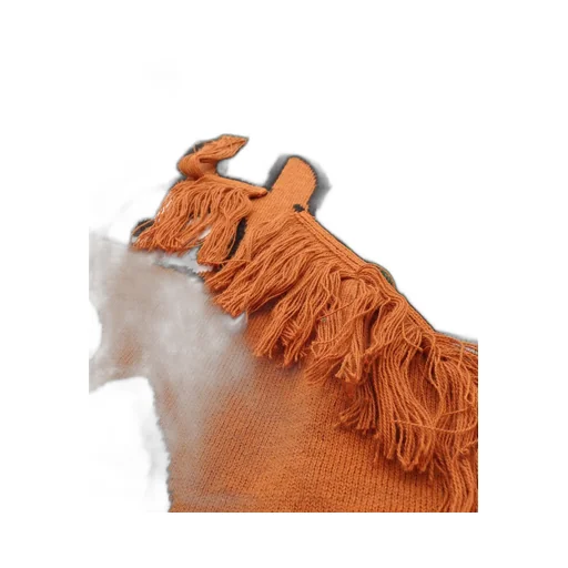 Stella Mccartney Kids Horse Jacquard Striped Fringed Jumper