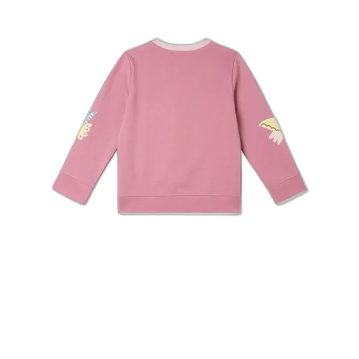 Stella Mccartney Kids Birds Embroidered Crewneck Seatshirt