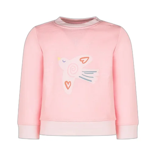 Stella Mccartney Kids Bird-Printed Crewneck Sweatshirt