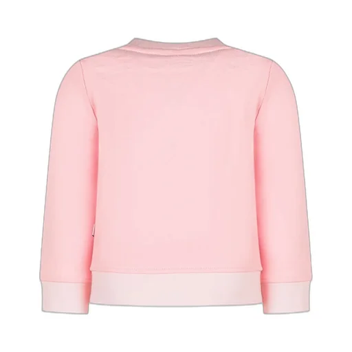 Stella Mccartney Kids Bird-Printed Crewneck Sweatshirt