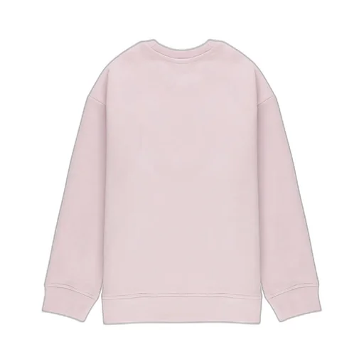 Stella Mccartney Kids Bird Crewneck Sweatshirt