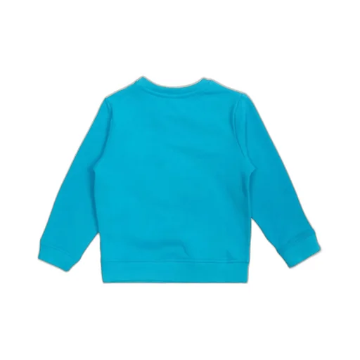 Stella Mccartney Kids Graphic Printed Crewneck Sweatshirt