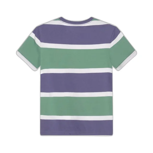 Polo Ralph Lauren Kids Polo Bear Printed T-Shirt