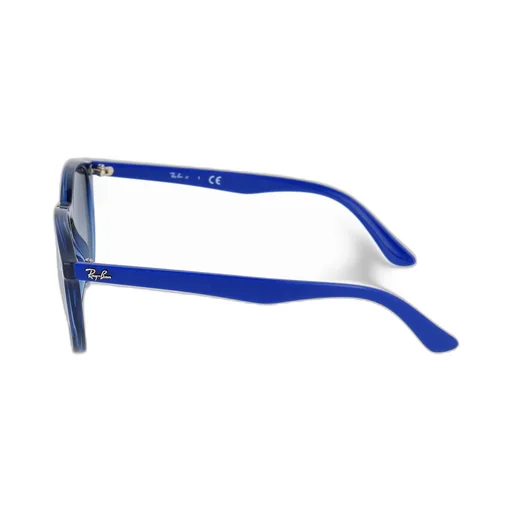Ray-Ban Irregular Frame Sunglasses