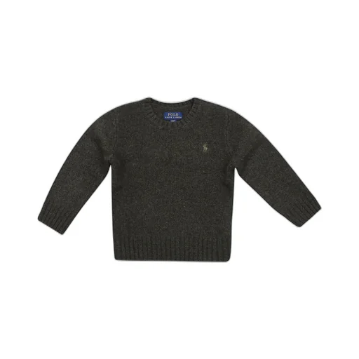 Ralph Lauren Kids Logo Embroidered Crewneck Jumper