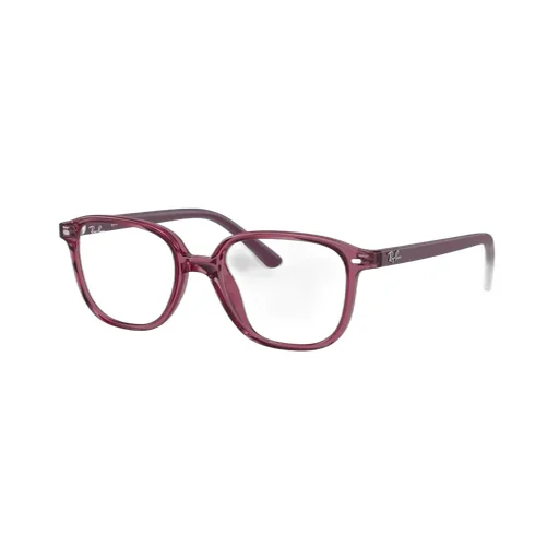 Ray-Ban Leonard Square Frame Glasses