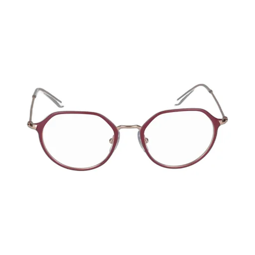 Ray-Ban Jack Irregular Frame Glasses