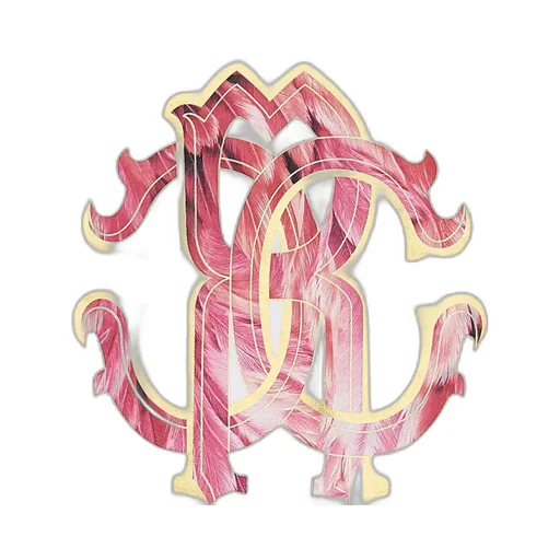 Roberto Cavalli Kids Rc Logo T-Shirt