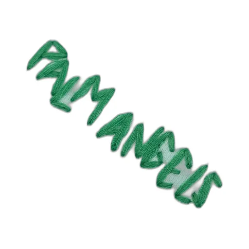 Palm Angels Kids Logo Embroidered Ribbed Cuff Hoodie