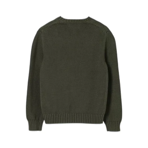 Polo Ralph Lauren Kids Crewneck Jumper