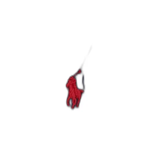 Polo Ralph Lauren Kids Pony Embroidered Jacket