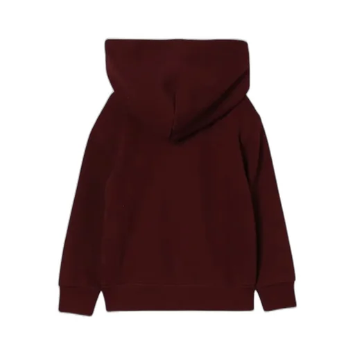 Polo Ralph Lauren Kids Fleece Hoodie