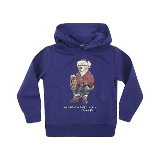Polo Ralph Lauren Kids Polo Bear Printed Hoodie
