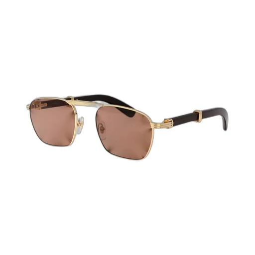 Cartier Eyewear Pilot Frame Sunglasses