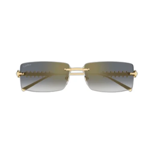 Cartier Rectangle Frameless Sunglasses