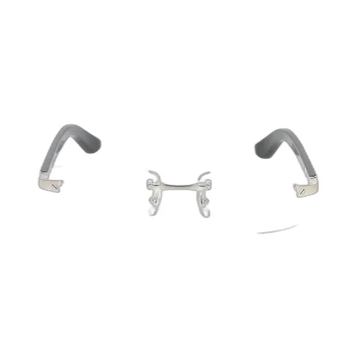 Cartier Santos De Cartier Rectangle Frameless Glasses