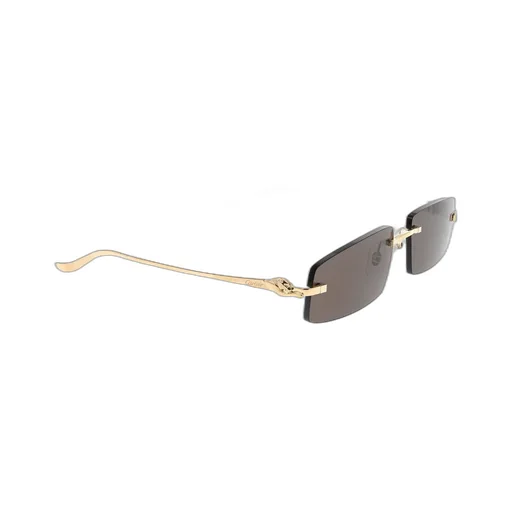 Cartier Eyewear Rectangle-Frame Sunglasses