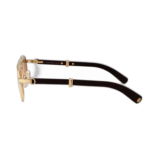 Cartier Eyewear Pilot Frame Sunglasses