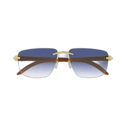Cartier Square Frame Sunglasses