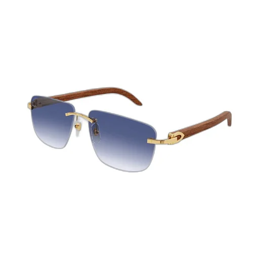 Cartier Square Frame Sunglasses