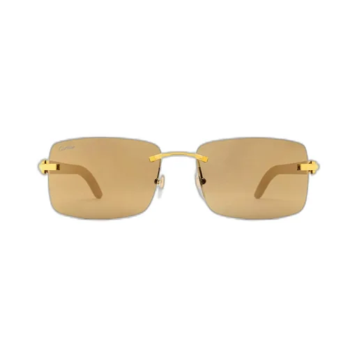 Cartier Rectangle Frame Sunglasses