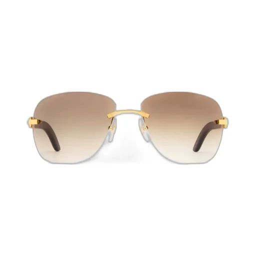 Cartier Rectangle Frame Sunglasses