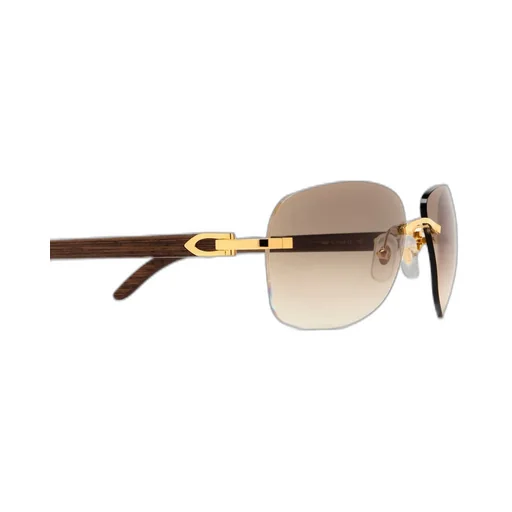 Cartier Rectangle Frame Sunglasses