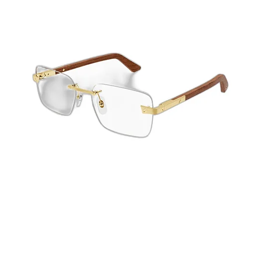 Cartier Rectangle Frameless Glasses