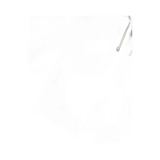 Champion Full Zip Drawstring Hoodie