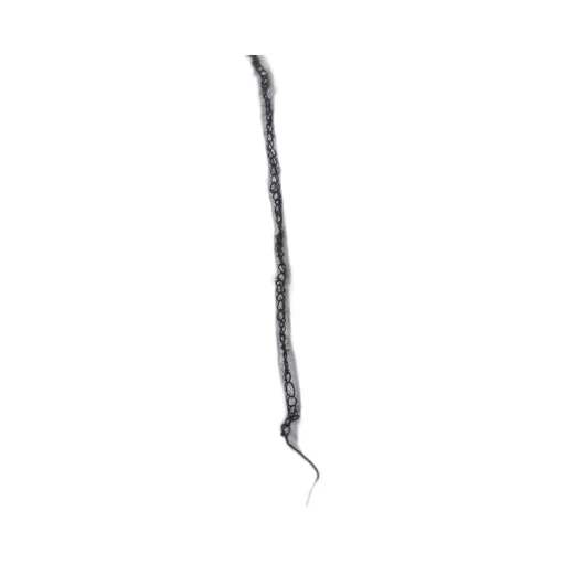 Christina Seewald Oyster Contrast-Detail Pants